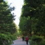 한강공원 산책길 - 공암나루근린공원에서 한강수변길 이어걷기