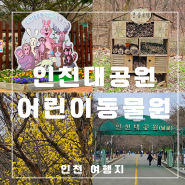 인천 아이와 가볼만한 인천대공원 어린이동물원 관람 및 산책 여행