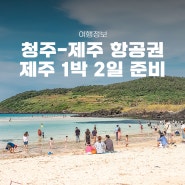 제주도 비행기표 예약 팁 항공권 에어로케이 청주-제주 1박2일 여행 코스 준비하기!