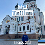 에스토니아 여행 #2-4 (탈린) 카페 마이아스모크, 피에르 초콜라떼리, 올데 한자, 탈린 야경