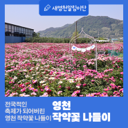 경북 영천 작약꽃 나들이 행사장 위치 축제