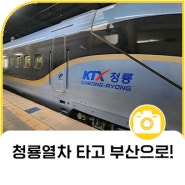 [임성혁 기자] 청룡열차 타고 부산으로!