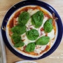직접 재배한 바질로 또띠아 피자 만들기(ft. 4년 만의 분갈이)