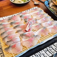 모슬포방파제 인근 하모리 영수네 고등어회에서 최애 생선 맛보기