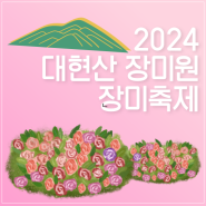대현산 장미원 장미축제 가는 길과 행사일정(2024년)