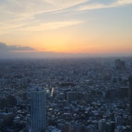 도쿄도청전망대 무료, 45층 높이, 예약도 필요없는 훌륭한 360도 뷰