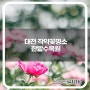 대전 작약꽃명소 한밭수목원