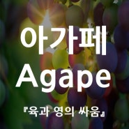 아가페 agape, 그리스도적인 사랑