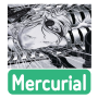 Mercurial 머큐리얼 실리카겔 :기타 타브 코드 가사 악보