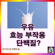 우유의 효능 부작용 우유 단백질 함량 칼슘 칼륨: 영양성분