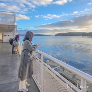 밴쿠버에서 빅토리아 아일랜드 가는 방법 페리 왕복 예약 탑승후기