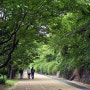 서울 걷고 싶은 길 - 마포 하늘노을길 / 노을공원, 하늘공원