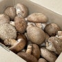 국산 강원도 표고버섯 건강 다이어트 요리 선물로 추천