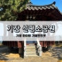 [부산] 기장 아이랑 가볼만한곳 신평소공원 주차정보