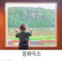 경북 봉화 감성 숙소 강안채 민박 후기