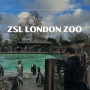 런던자유여행 여행코스 ZSL London zoo (런던동물원) 관람후기