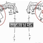[수상(손금)] 손과 뇌의 관계 - 민광욱 선생님
