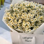 캐모마일 🫖🍵 그꽃? 마트리카리아 꽃다발