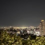 인천 수봉공원 야간데이트 야경명소