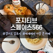 [경기도 김포시] 포지티브 스페이스 566 - 세계에서 가장 큰 카페