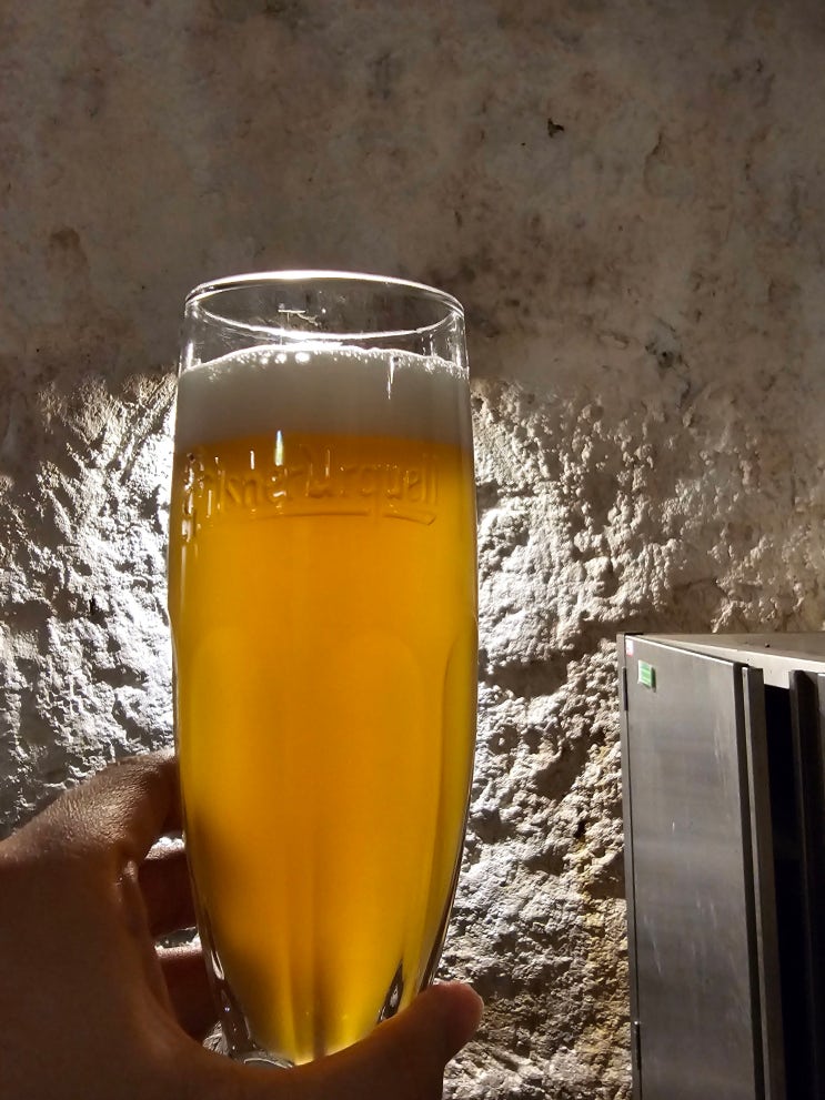 [특별편1-2] 체코의 국민 맥주 "필스너 우르켈(Pilsner Urquell)" 양조장 투어 후기 및 예약방법 : 네이버 블로그
