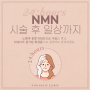 [닥터베이직] NMN 시술 후 일상까지!