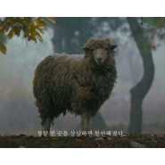 [CINETALK 2024학년도 1학기 커리큘럼] 정말 먼 곳(A Distant Place, 2021)