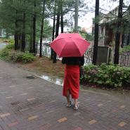 초경량우산 추천 장마철필수템 가벼운 일본우산