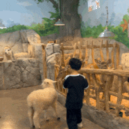 청주 쥬니멀동물원 아이랑 동물먹이주기 만지기체험 입장료 이용시간