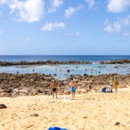 하와이 여행 코스 추천 무료 스노클링 스팟 푸푸케아 비치 파크 샥스 코브