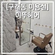 애견동반도 가능한 히피펌 맛집 구래동미용실 이뚜헤어