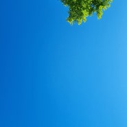 [일상] 파란 하늘 출근길