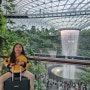 싱가포르 쥬얼창이 공항 즐기기(폭포, 포켓몬 센터, 페어프라이스 기념품)
