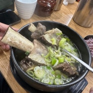 대전 노포 추천: 설렁탕과 갈비탕 국물이 끝내주는 '한밭식당'