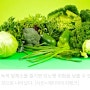 녹색 잎채소 하루 ‘이만큼’ 먹었더니…당뇨병 위험 ‘뚝’