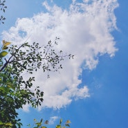 성매매변호사 진술 도움받으세요!