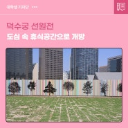 덕수궁 선원전, 도심 속 휴식공간으로 개방됩니다! 🌳🪑🌳