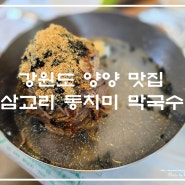 강원도 양양 쏠비치 맛집 삼교리 동치미 막국수