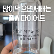 헬씨다이어트 2기 도전 마음껏 먹으면서 건강하게 체지방빼는 방법