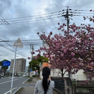 히타에서 2일차 기록 후쿠오카 근교 여행 꽉 찬 하루