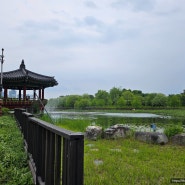 [대전]가족끼리 가보기좋은곳 _ 한밭수목원(1):열대식물원