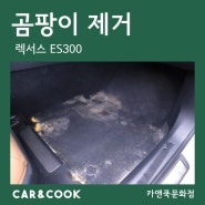[카앤쿡] 대전 특수세차 실내 크리닝 자동차 곰팡이 제거_ES300