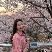 24/APR :: 서울숲 벚꽃구경, 대학 동기 결혼식, 속초 여행