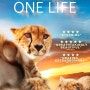 원라이프 (One Life, 2011)