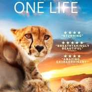 원라이프 (One Life, 2011)