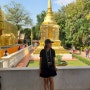 치앙마이 왓프라싱ㅣ치앙마이 올드타운 사원 ㅣ치앙마이여행