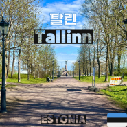 에스토니아 여행 #2-3 (탈린) 쿠무 현대미술관, 카드리오르그 미술관, 탈린 린나홀 영화 테넷 촬영지 둘러보기