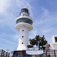 바다뷰가 가장 마음에 들었던 삼척 여행지 묵호항