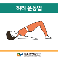 허리 통증을 완화하기 위한 운동법 원주프라임병원 척추센터