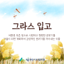 바람에 흔들리며 눈과 귀를 사로잡는 그라스 입고 🌾